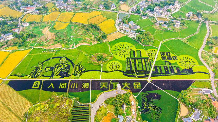 “糧田”+“良田” 共繪“豐收圖”