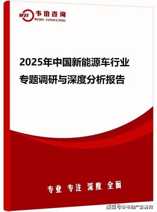 韦伯咨询：2025年中国新能源车行业专题调研与深度分析报告